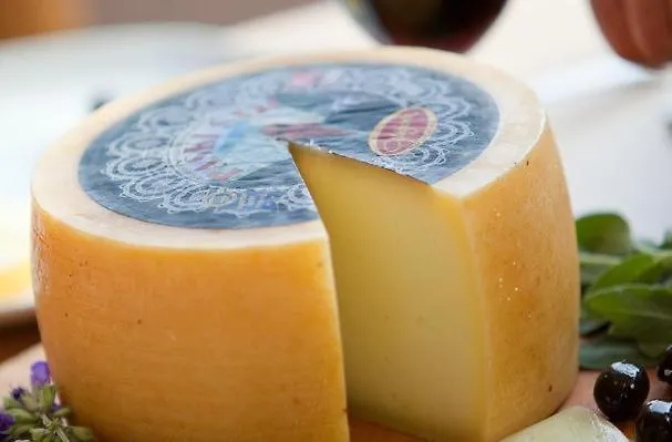 Dandy Повляна